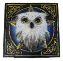 Snowy Owl Trinket Box, 5 x 5 Inch Decorative Keepsake Box with Celtic Knotwork