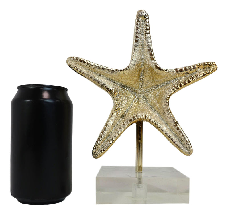 Nautical Marine Coral Golden Sea Star Shell Starfish Sculpture Acrylic Base