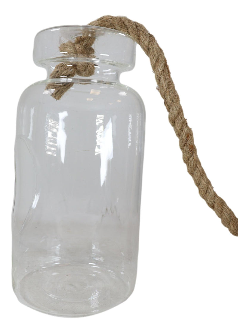 Farmhouse Rustic Country Hanging 11" H Glass Bottle Terrarium With Jute Strings