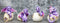 Set Of 4 Purple Spyro Baby Dragon Hatchlings Breaking Out Of Eggs Figurines
