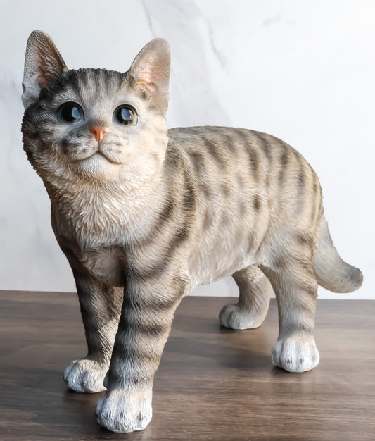 Standing Feline Gray Tabby Cat Kitten Figurine With Realistic Glass Eyes Decor