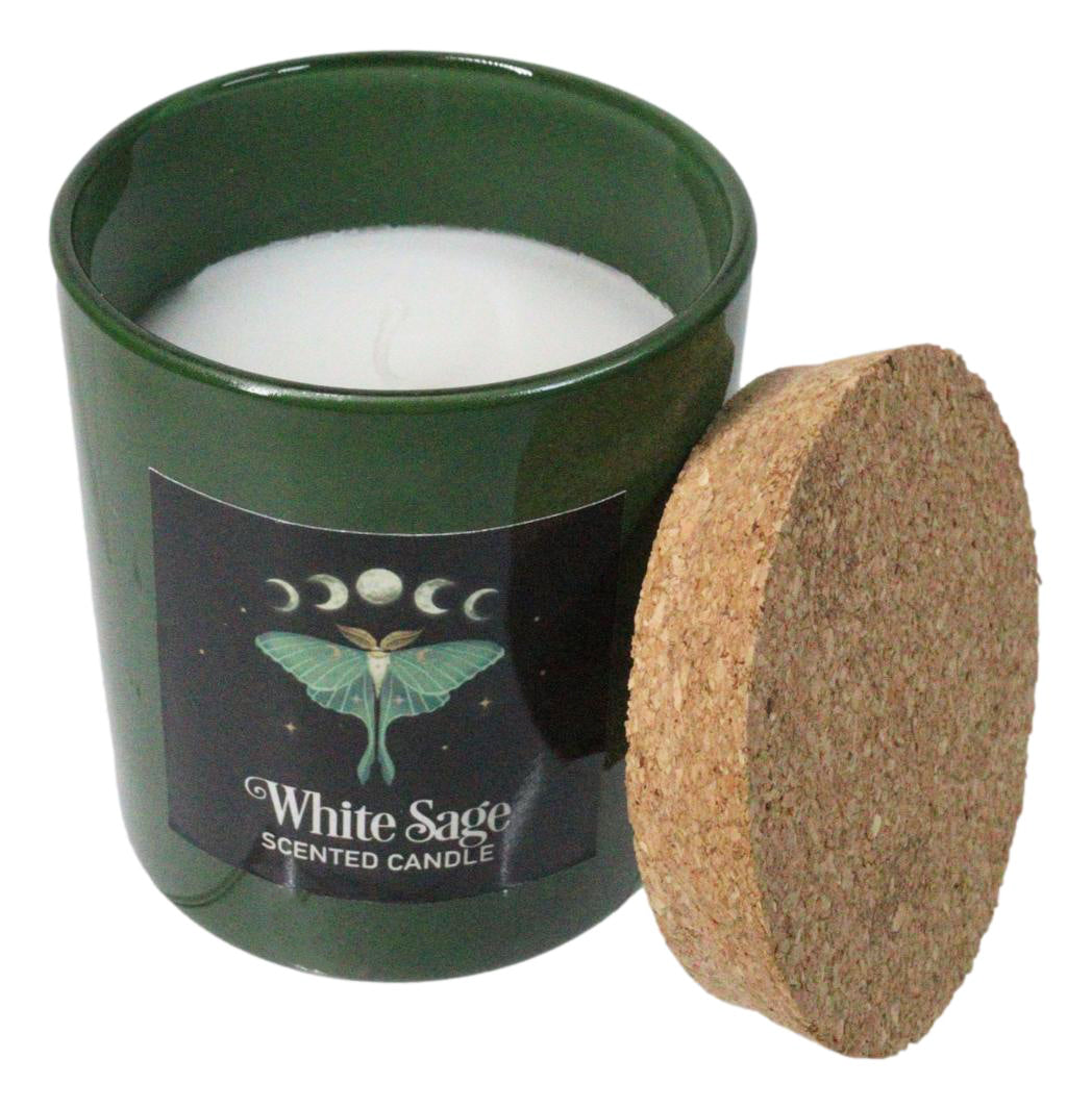Wicca Dark Forest White Sage Luna Moth Scented Candle With Cork Lid