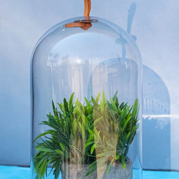 Decorative Clear Glass Apothecary Cloche Bell Jar Centerpiece Dome Wit–  Ebros Gift