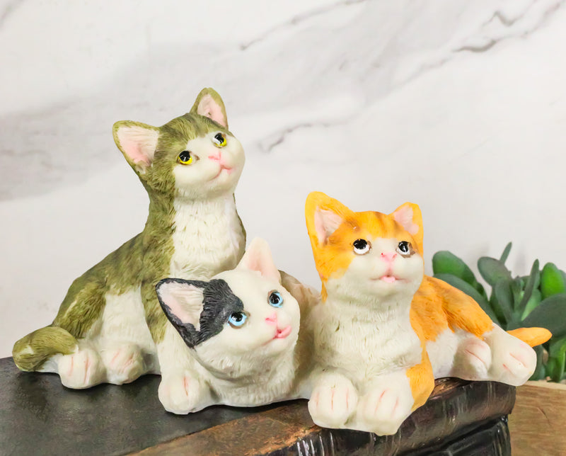 Lifelike Adorable 3 Calico Grey Tabby Colorful Kitten Cats Cuddling Figurine