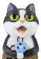 Whimsical Crazy For Cats Feline Kitty Black Cat Play Door Or Wall Hanging Sign