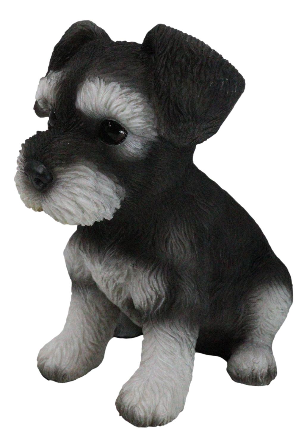 Adorable Black and Silver Miniature Schnauzer Puppy Dog Home Decor Figurine - Ebros Gift