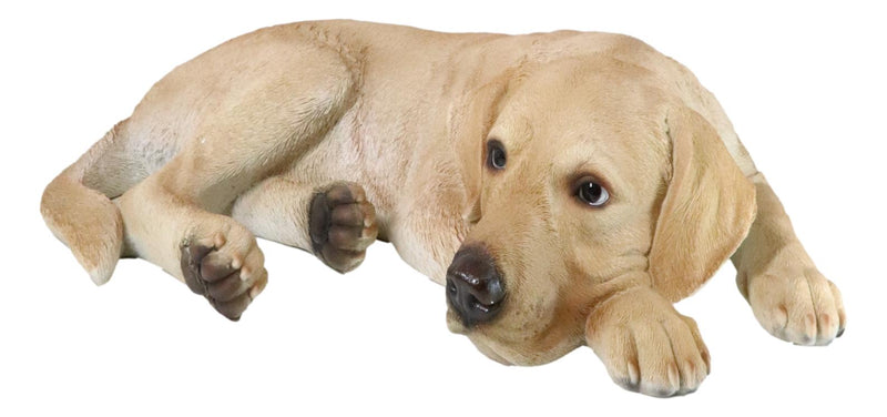 Large Realistic Sleeping Yellow Labrador Retriever Statue 21"H Golden Retriever