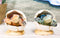 Pack Of 2 Marine Blue And Brown Sea Turtle Hatchlings In Egg Shells Figurines