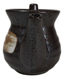 Japanese Black Tenmoku Glazed Porcelain Soy Sauce Oil Vinegar Dispenser Flask