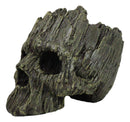 Mythical Greenman Tree Ent Skull Resin Bowl Garden Planter Figurine 7"Long