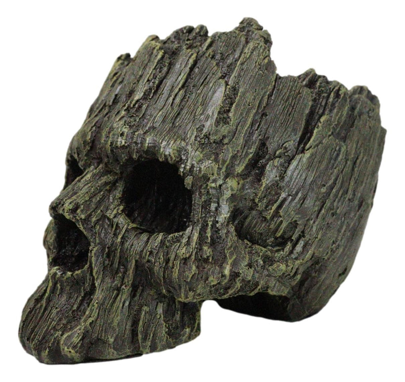 Mythical Greenman Tree Ent Skull Resin Bowl Garden Planter Figurine 7"Long