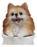 Pet Pomeranian Pom Pom Teacup Puppy Dog Figurine With Glass Eyes Pup In Pot