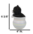 Lifelike Black And White Tuxedo Cat In Pastel Artsy Pot With Glass Eyes Figurine