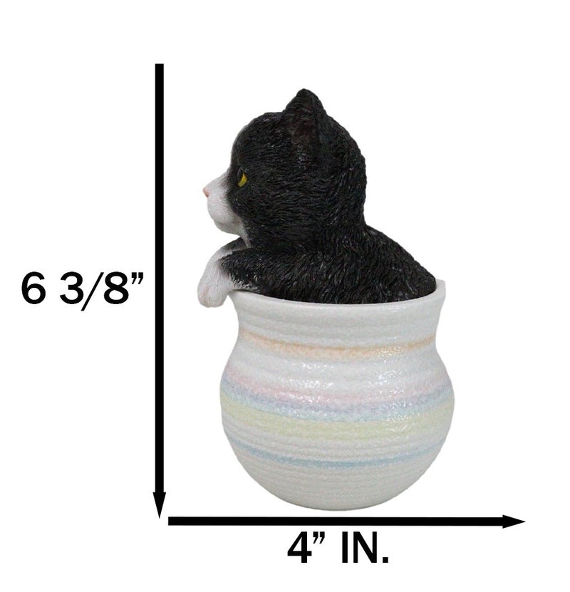 Lifelike Black And White Tuxedo Cat In Pastel Artsy Pot With Glass Eyes Figurine