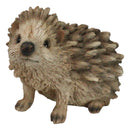 Realistic Faux Driftwood Finish Wild Spiny Mammal Hedgehog Animal Figurine 9"L