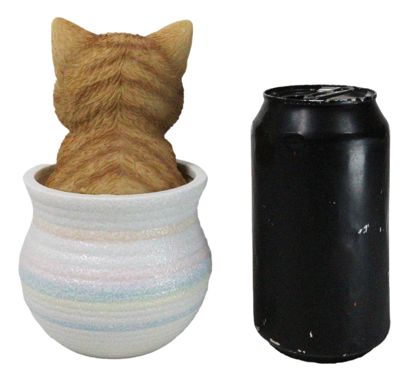 Lifelike Feline Kitty Orange Tabby Cat Blue Eyes In Pastel Artsy Pot Figurine