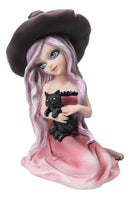 Gothic Beautiful Witch In Pink Dress And Magical Hat Holding Black Cat Figurine