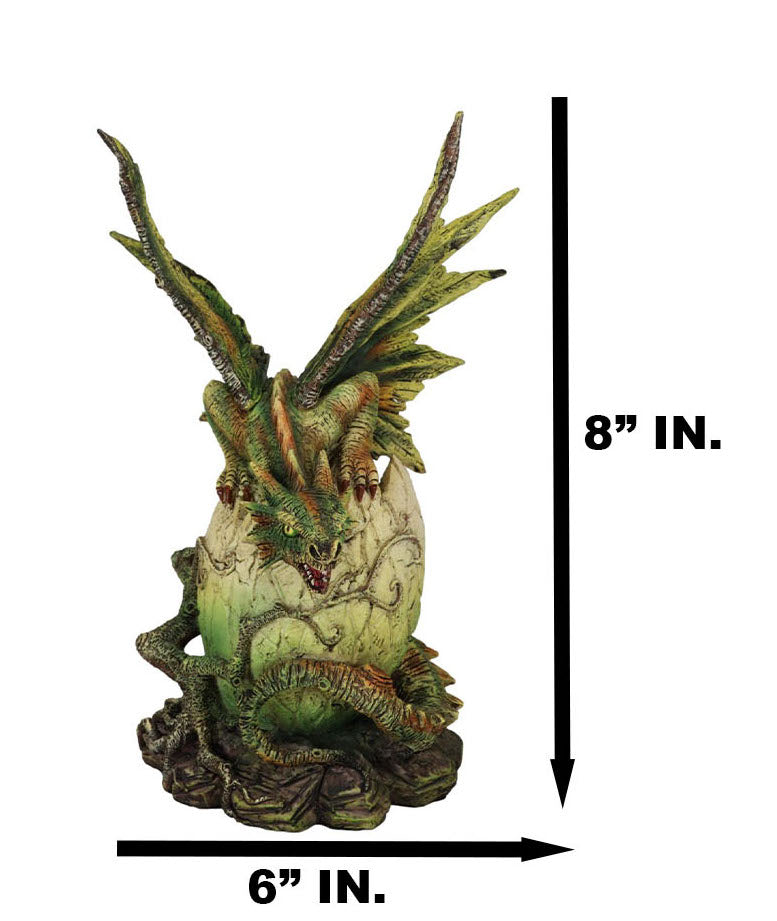 Forest Ent Greenman Dendritic Dragon Hatchling Emerging From Egg Shell Figurine