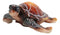 Nautical Ocean Brown Hues Giant Sea Turtle Swimming Decorative Figurine Tortoise