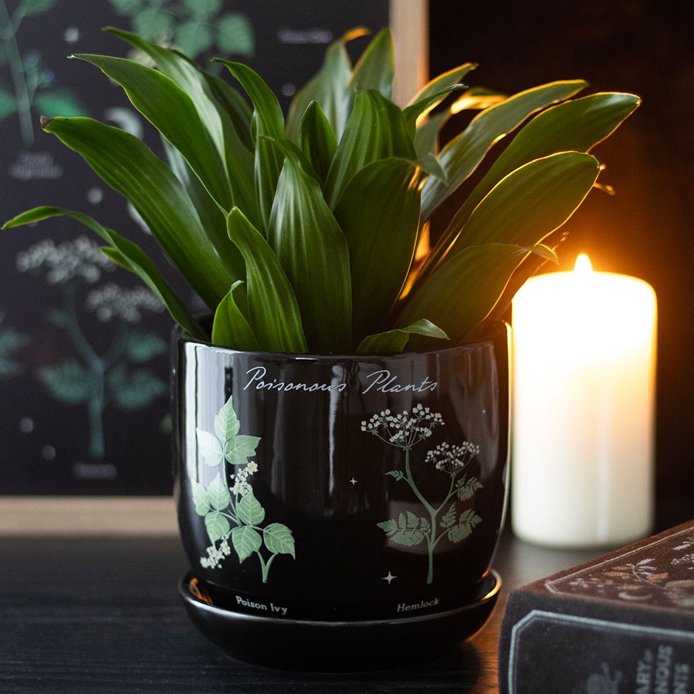 Witchcraft Magic Dark Forest Poisonous Plants Ceramic Planter Pot W/ Saucer Set