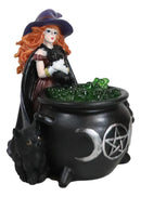 Wiccan Grand Witch Black Cat By LED Potion Bubbles Triple Moon Cauldron Figurine