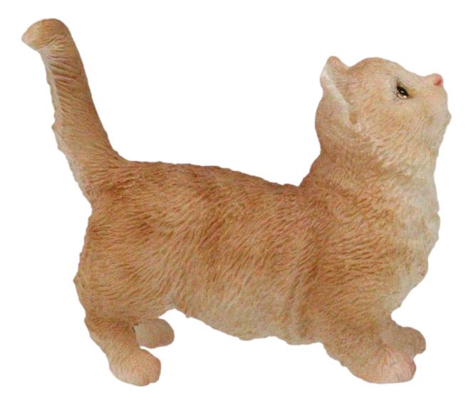 Realistic Curious Feline Orange Tabby Munchkin Cat Kitten Mini Figurine