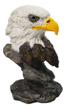 American Patriotism Majestic Royal Bald Eagle Head Bust On Rocks Figurine 4.5"H