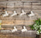 Set Of 6 Antique White Octopus Ocean Marine Wall Hanging Decor Tree Ornaments