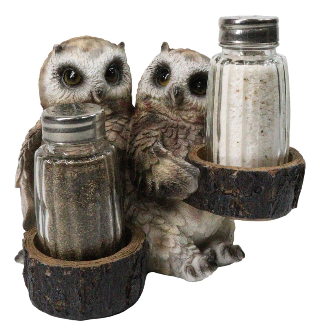 Owl Lovers Couple Salt and Pepper Shaker Holder with Glass Shakers Figurine