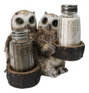 Owl Lovers Couple Salt and Pepper Shaker Holder with Glass Shakers Figurine