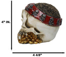 Pirate Skull Treasure With Bandana Eyepatch Gold Coins & Pearl Jewelry Figurine