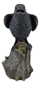 Ebros Large 14" Long Gothic Raven Crow Perching On Tree Stump Statue Figurine