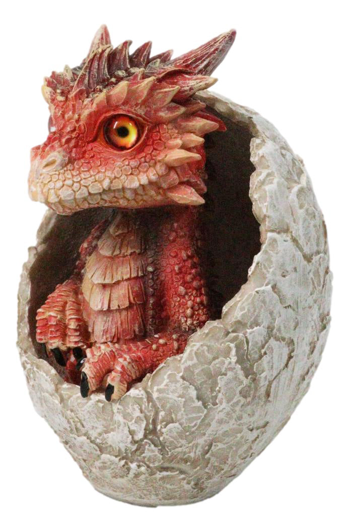 Ebros Red Ember Fire Dragon Baby Hatchling in Cracked Egg Fantasy Figurine