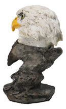 American Patriotism Majestic Royal Bald Eagle Head Bust On Rocks Figurine 4.5"H
