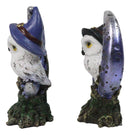 Pair of Snow Owls With Witch Hats Perching On Cratered Crescent Moon Figurines