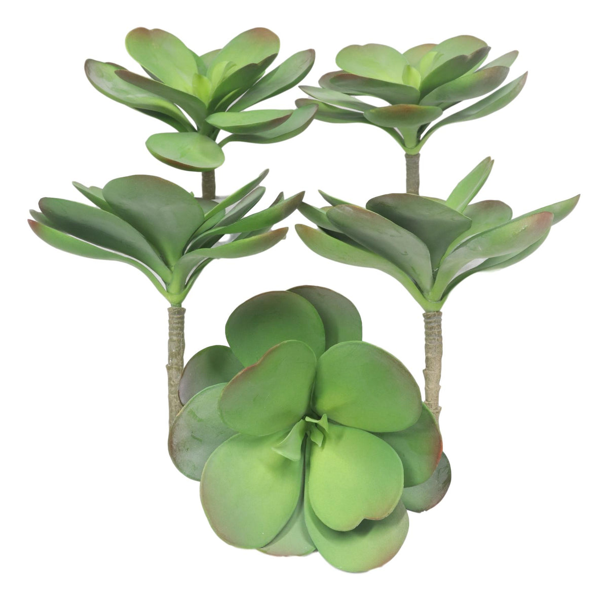 Set of 5 Realistic Artificial Faux Botanica Paddle Plants Fern Grass Succulents
