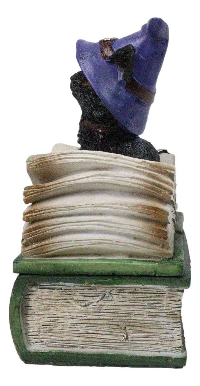 Mystical Black Cat with Witch Hat On Green Book of Spells Small Trinket Box