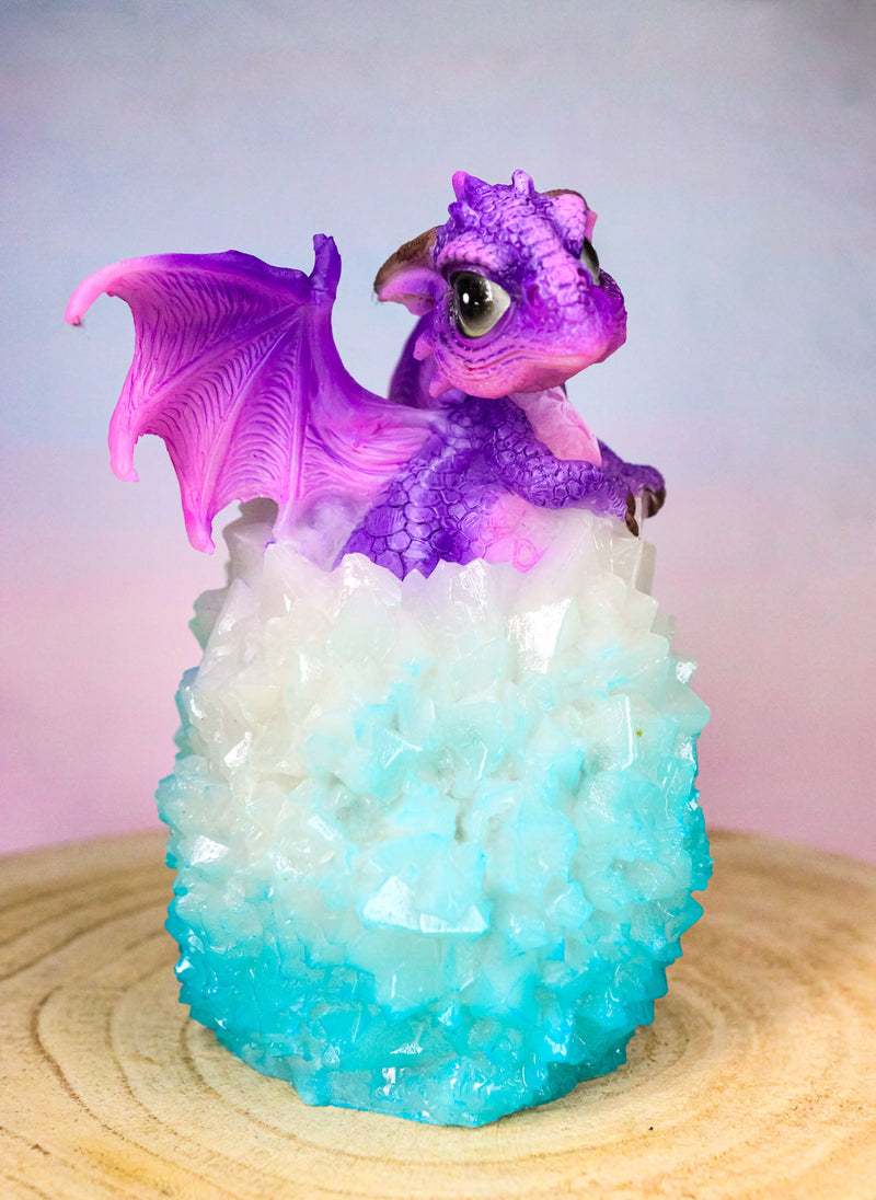 Whimsical Cute Purple Baby Dragon Hatchling in LED Crystal Icicles Egg Figurine