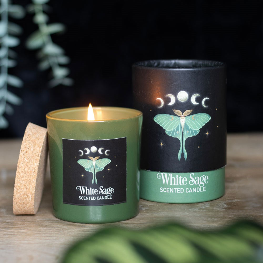 Wicca Dark Forest White Sage Luna Moth Scented Candle With Cork Lid