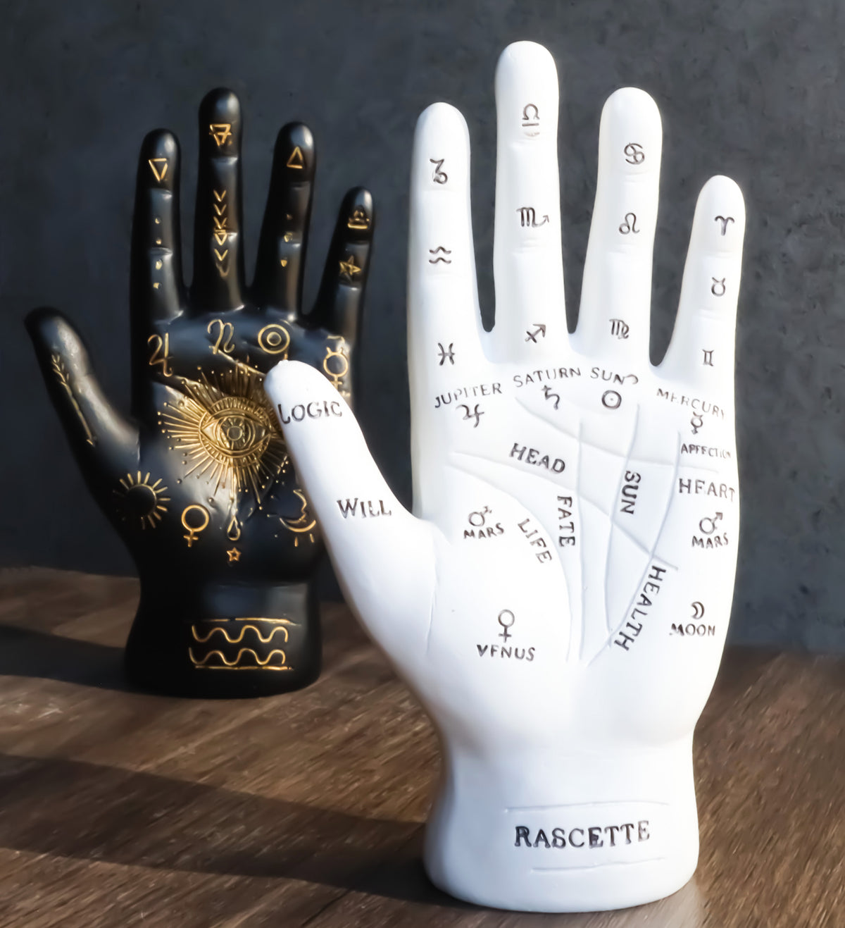 Ebros Psychic Fortune Teller Palmistry Hand Palm Figurine (Black & White Set) - Ebros Gift