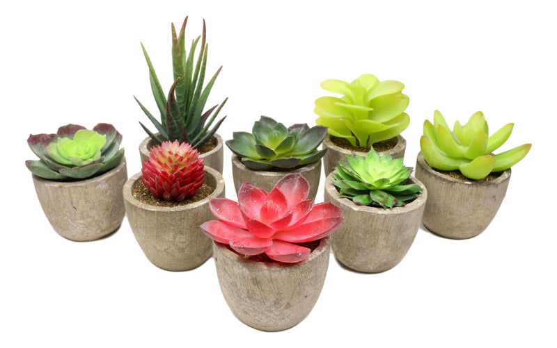 succulent fake plants Set of 8 Colorful Realistic Artificial Botanica Flowering Succulents I– Ebros Gift