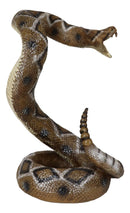 Realistic Attacking Coiled Diamondback Rattlesnake With Fangs Bared Figurine
