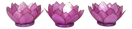 Pack Of 3 Coral Pink Seashells Lotus Flower Votive Tea Light Candle Holders