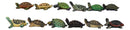 Set of 12 Marine Colorful 2" Mini Reptile Collectible Tortoise Species Figurines