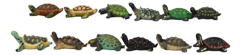Set of 12 Marine Colorful 2" Mini Reptile Collectible Tortoise Species Figurines