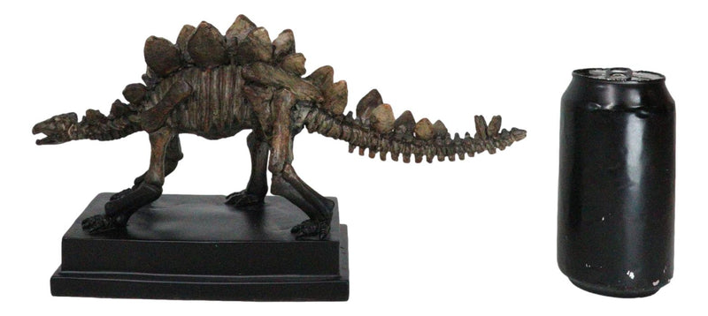 Faux Taxidermy Stegosaurus Dinosaur Fossil Figurine On Museum Display Base Stand