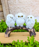Woodland Wisdom See Hear Speak No Evil Wise Snowy Owls Figurine On Tree Branch