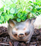Rustic Country Farm Hog Heavens Angel Wings Pig Decorative Vase Planter Pot