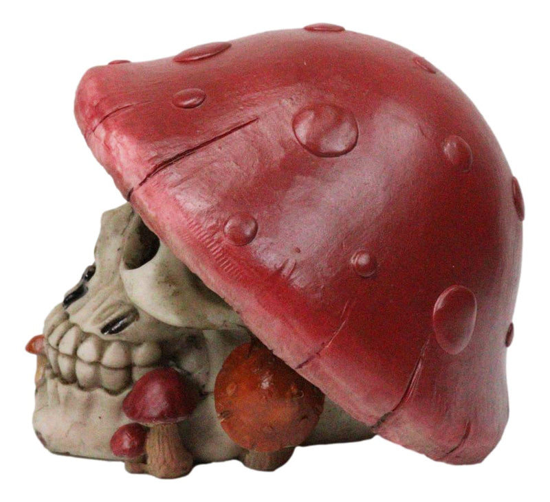 Red Macabre Toadstool Mushroom Cap Skull With Mini Fungi Figurine 5" L