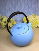 Pastel Blue Minimalistic Tilted Round Cast Iron Teapot 28oz Tea Pot With Handle